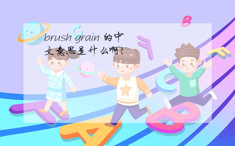 brush grain 的中文意思是什么啊?