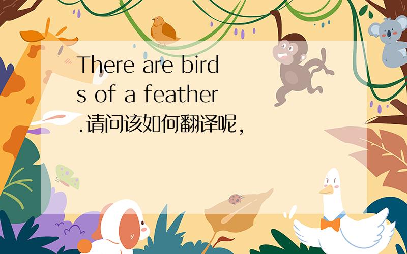 There are birds of a feather.请问该如何翻译呢,