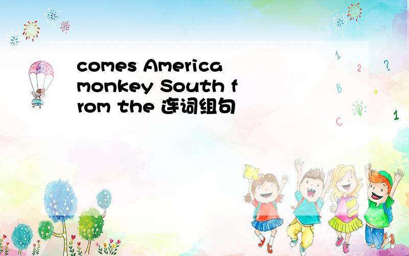 comes America monkey South from the 连词组句