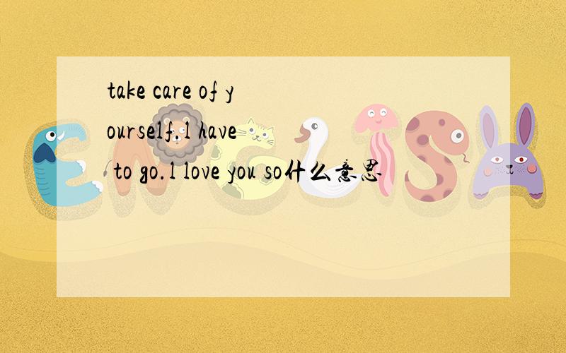take care of yourself.l have to go.l love you so什么意思