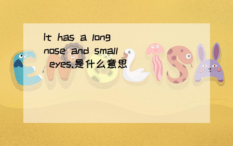 It has a long nose and small eyes.是什么意思