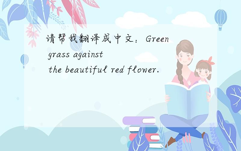 请帮我翻译成中文：Green grass against the beautiful red flower.