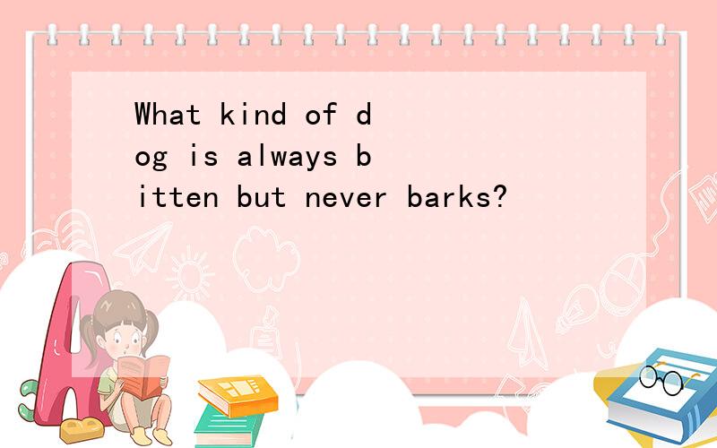 What kind of dog is always bitten but never barks?