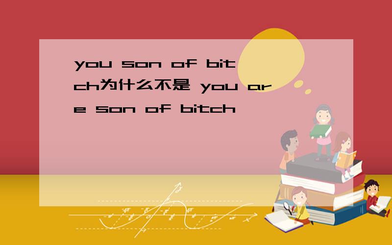 you son of bitch为什么不是 you are son of bitch