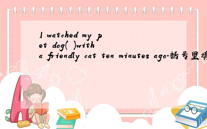 I watched my pet dog( )with a friendly cat ten minutes ago.括号里填play的什么形式?
