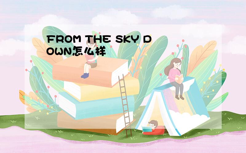 FROM THE SKY DOWN怎么样