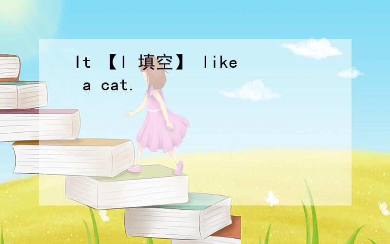 It 【l 填空】 like a cat.