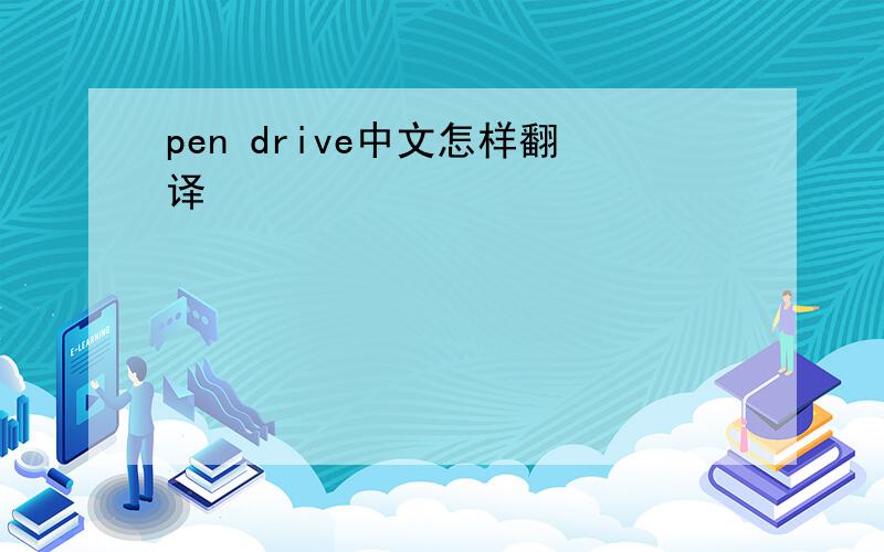 pen drive中文怎样翻译