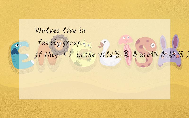 Wolves live in family group if they（）in the wild答案是are但是从句后一般现在时里能用are吗?