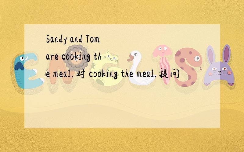 Sandy and Tom are cooking the meal.对 cooking the meal.提问