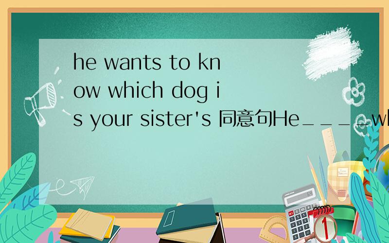 he wants to know which dog is your sister's 同意句He____which dog____your sister's