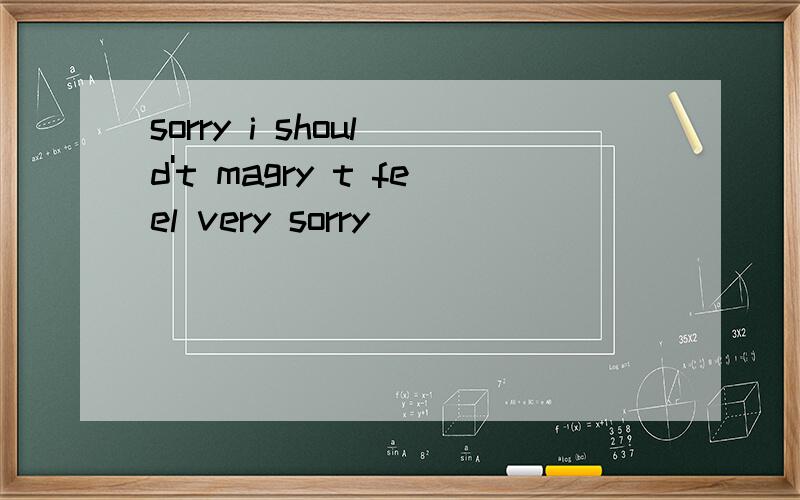 sorry i shoul d't magry t feel very sorry