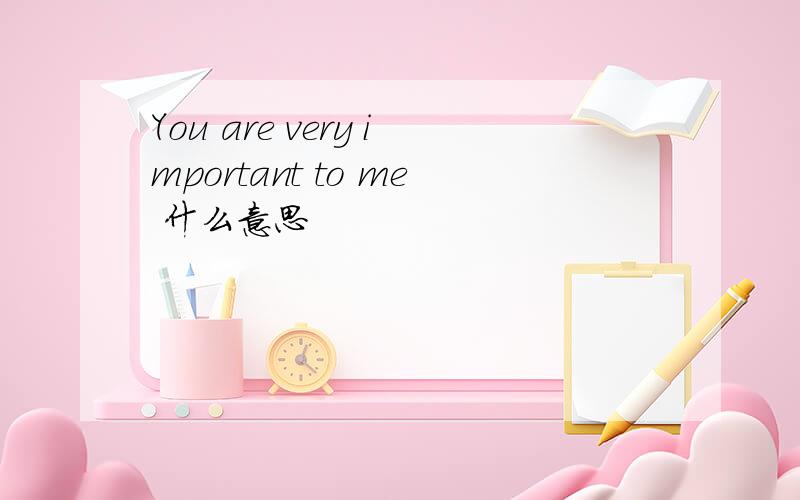 You are very important to me 什么意思
