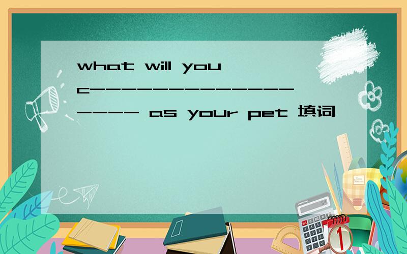 what will you c----------------- as your pet 填词