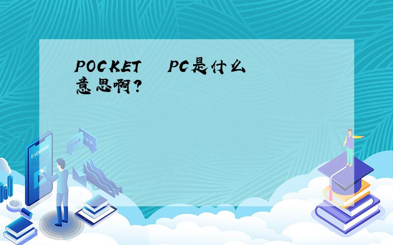 POCKET   PC是什么意思啊?