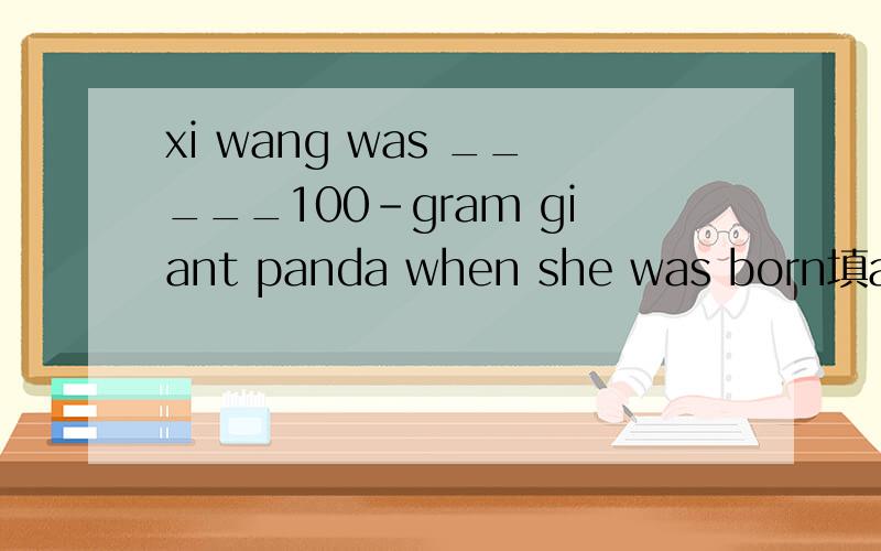 xi wang was _____100-gram giant panda when she was born填a还是an呢求解
