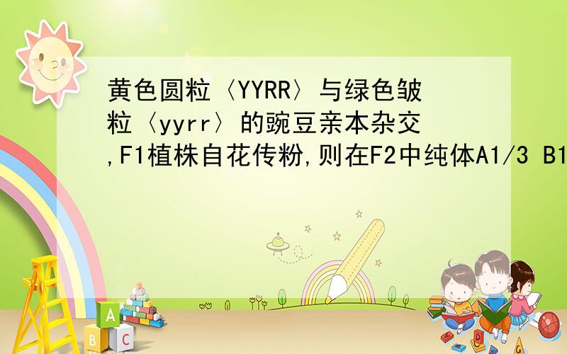 黄色圆粒〈YYRR〉与绿色皱粒〈yyrr〉的豌豆亲本杂交,F1植株自花传粉,则在F2中纯体A1/3 B1/4 C1/9 D1/16