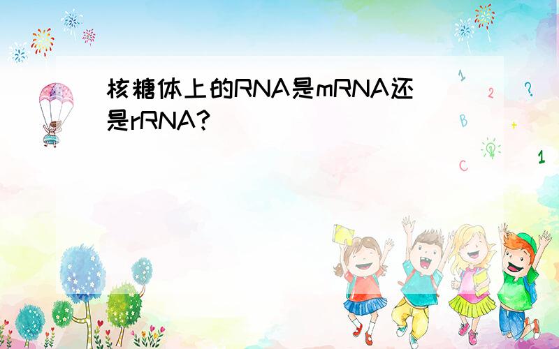 核糖体上的RNA是mRNA还是rRNA?