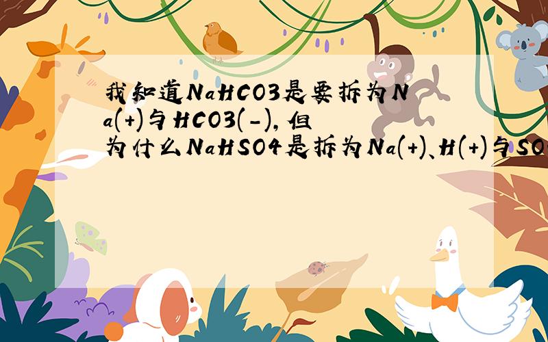 我知道NaHCO3是要拆为Na(+)与HCO3(-),但为什么NaHSO4是拆为Na(+)、H(+)与SO4(2-),而不是Na(+)