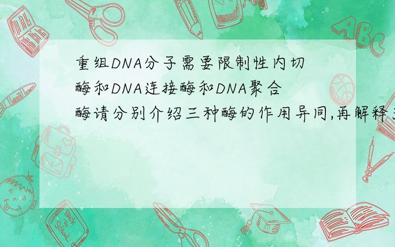 重组DNA分子需要限制性内切酶和DNA连接酶和DNA聚合酶请分别介绍三种酶的作用异同,再解释为什么要用或不用