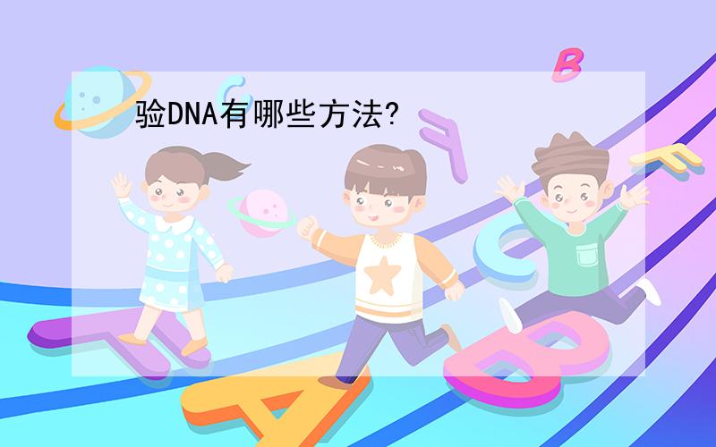 验DNA有哪些方法?
