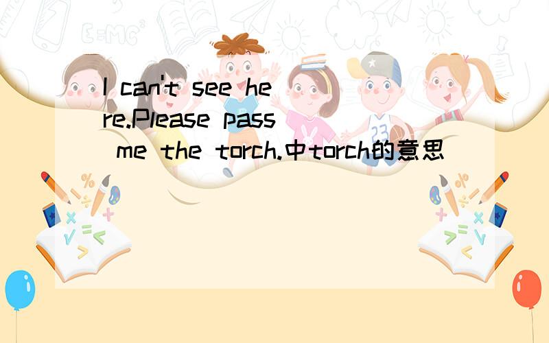 I can't see here.Please pass me the torch.中torch的意思