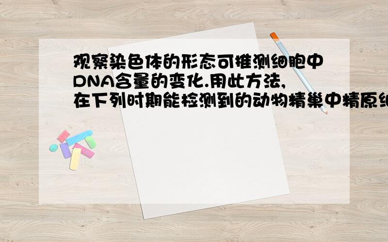 观察染色体的形态可推测细胞中DNA含量的变化.用此方法,在下列时期能检测到的动物精巢中精原细胞中DNA含量加倍的是 A有丝分裂间期的DNA复制 B有丝分裂的前期、中期 A为什么不对?选B