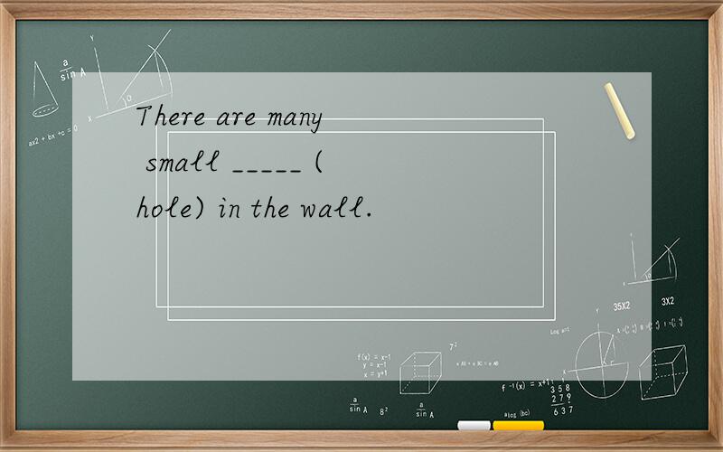 There are many small _____ (hole) in the wall.