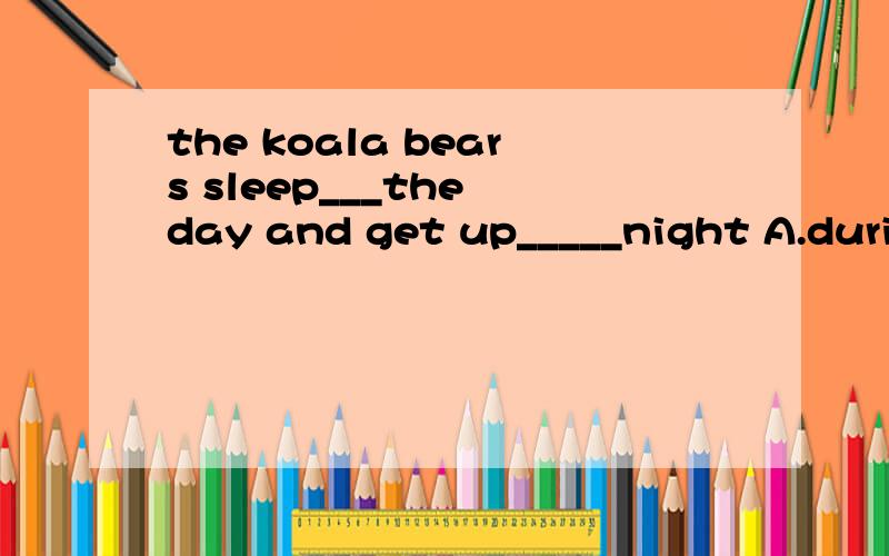the koala bears sleep___the day and get up_____night A.during atB.at during C.at at D.during during