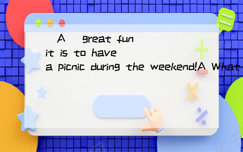 _A_ great fun it is to have a picnic during the weekend!A What B What a C How D How a