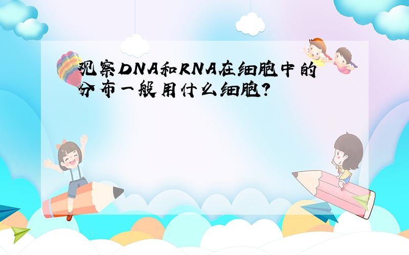 观察DNA和RNA在细胞中的分布一般用什么细胞?