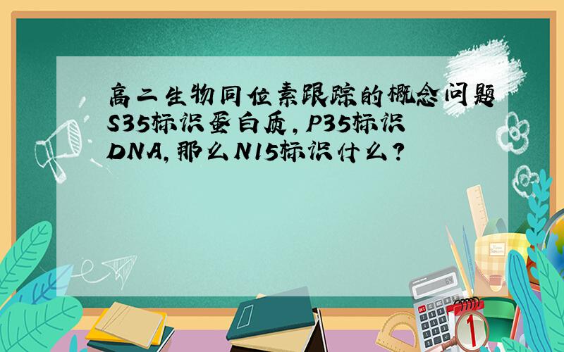 高二生物同位素跟踪的概念问题S35标识蛋白质,P35标识DNA,那么N15标识什么?
