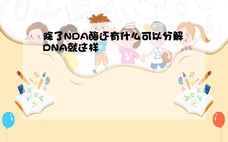 除了NDA酶还有什么可以分解DNA就这样